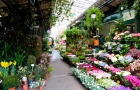 Mercato dei fiori e degli uccelli <br> di Place Louis Lépine